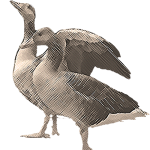 ocadisantalbino la nostra filosofia