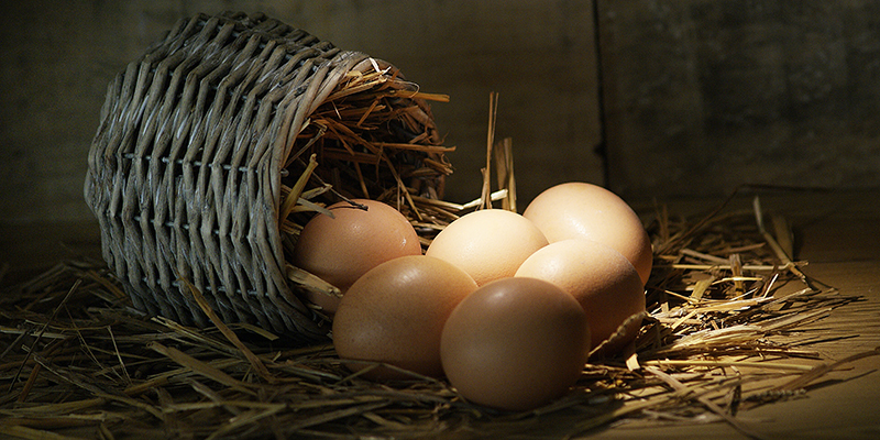 aziend agricola l'oca di sant albino uova