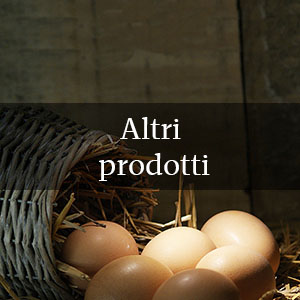 oca di sant'albino uova d'oca