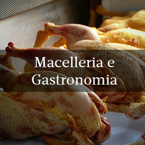 Macelleria e Gastronomia