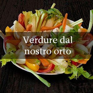 Verdure orto