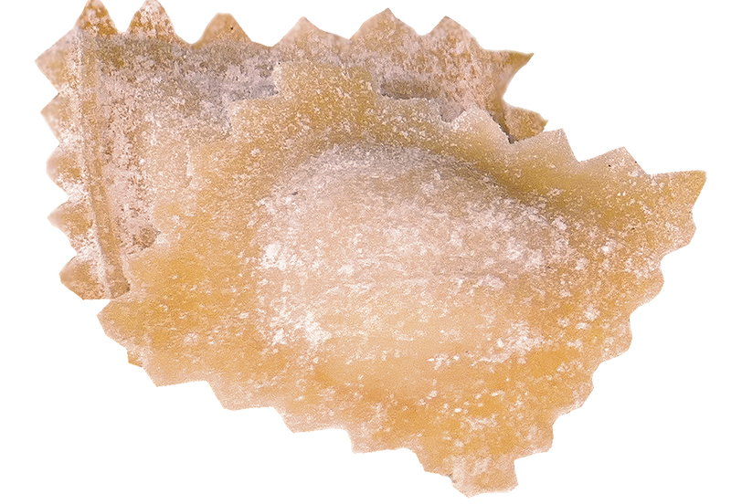 ravioli d'oca fatti in casa