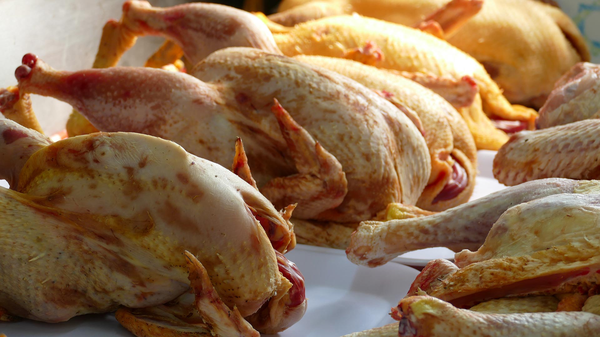 spaccio oca di sant'albino mortara polli e anatre