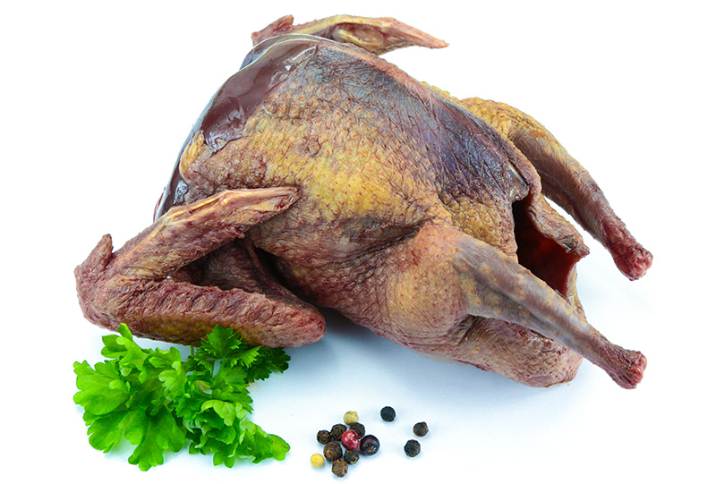 Carne di piccione da mangiare