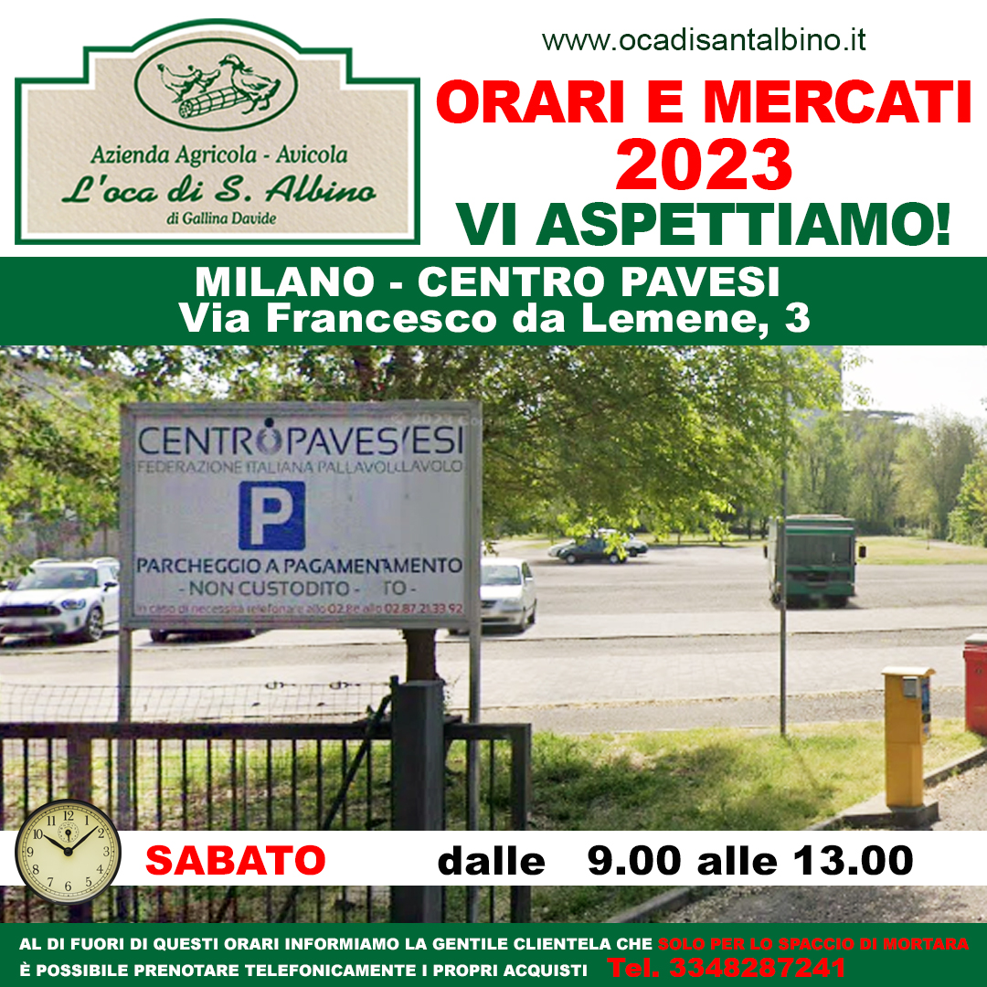 CENTRO PAVESI MERCATO CONTANDINO MILANO